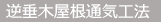 逆垂木屋根通気工法