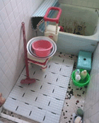 120601_1245~01.gif