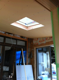 IMG_3554.gif