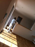 IMG_3702.gif