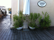 IMG_3991.gif