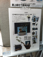 IMG_3997.gif
