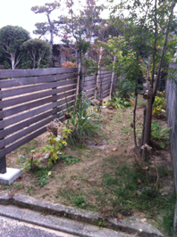 IMG_4022.gif