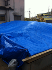 IMG_4056.gif