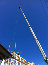 IMG_4065.gif