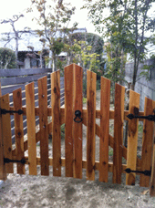 IMG_4191.gif