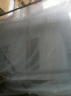IMG_4219.gif