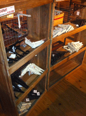 IMG_4251.gif