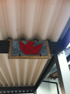IMG_4264.gif