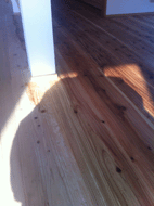 IMG_4383.gif