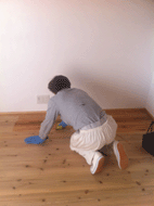 IMG_4384.gif