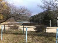 IMG_4418.gif