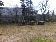 IMG_4420.gif