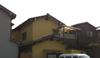 IMG_4463.gif