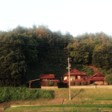 IMG_4600.gif