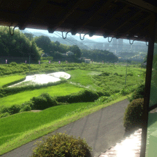 IMG_4604_2.gif