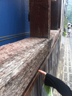 IMG_4619.gif