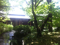 IMG_4625.gif