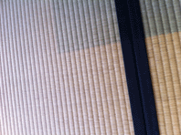 IMG_4657.gif